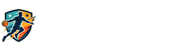 蜘蛛直播